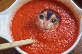 When everybody is asking: "Where is the sauce?". But nobody is asking ...