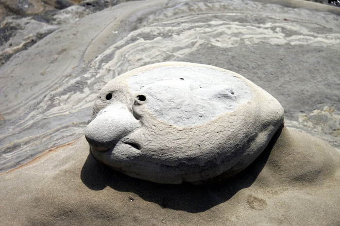 Gaggled Like Rocks Why are you photographing me? - 9GAG