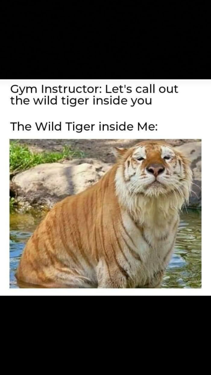 My inner tiger........ - 9GAG, image size:700x1244