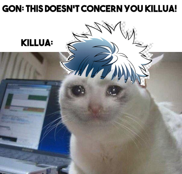 Gon's a dick. Can't change my mind. 9GAG