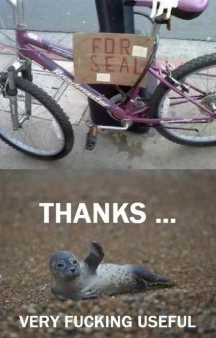 Bike for seal 9GAG