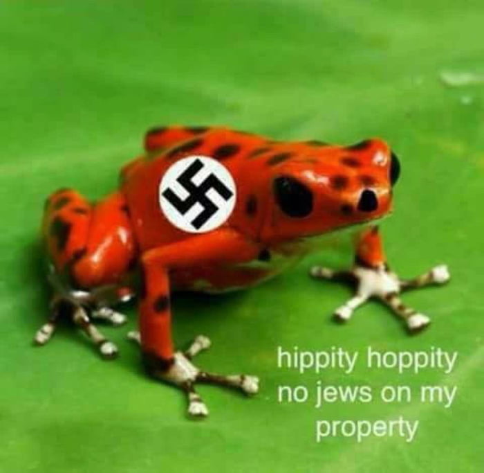 Afrog Hoppler - 9GAG