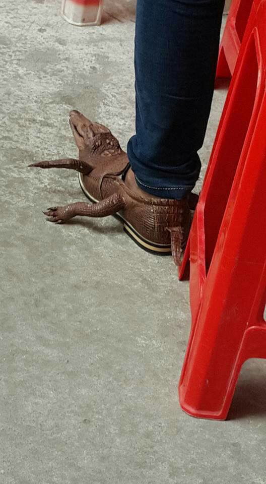 crocs for life