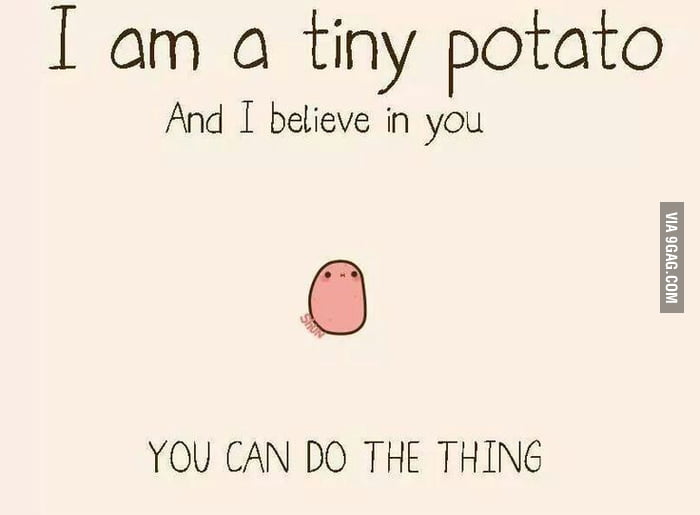 Potato 9gag Potato 9gag