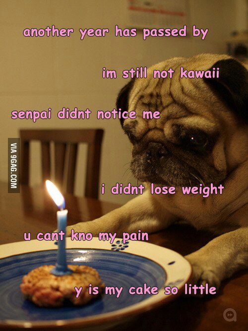 It S My Birthday No One Wished Me 9gag