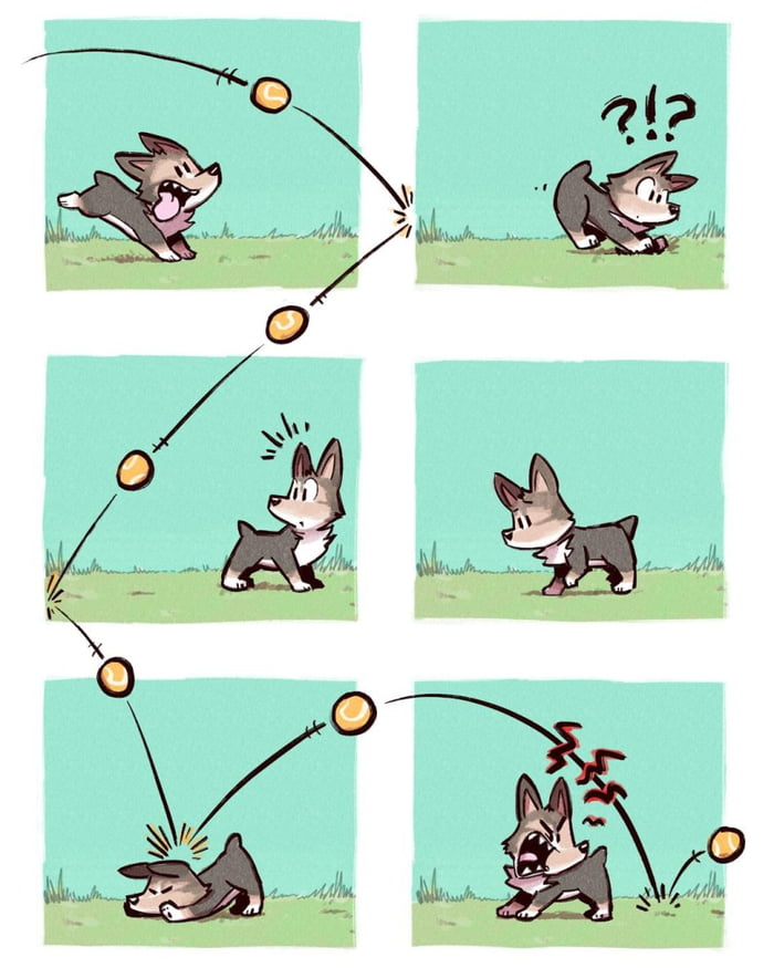 WTF doggystyle - 9GAG