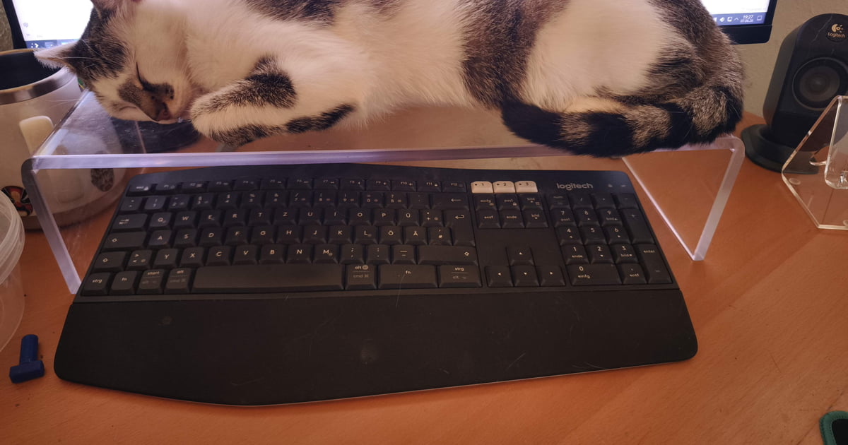 Kitty keyboard shield working as intended - 9GAG